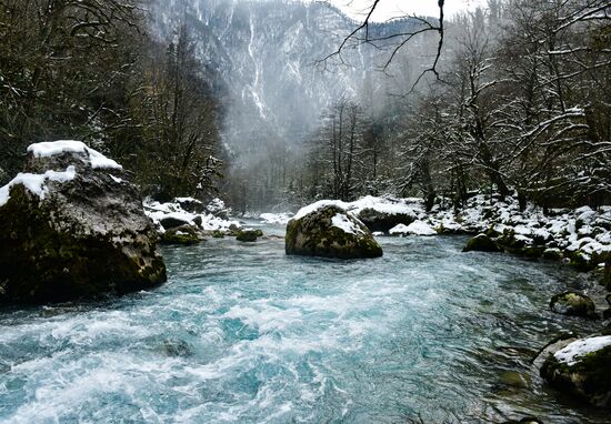 Abkhazia Ritsa Nature Park
