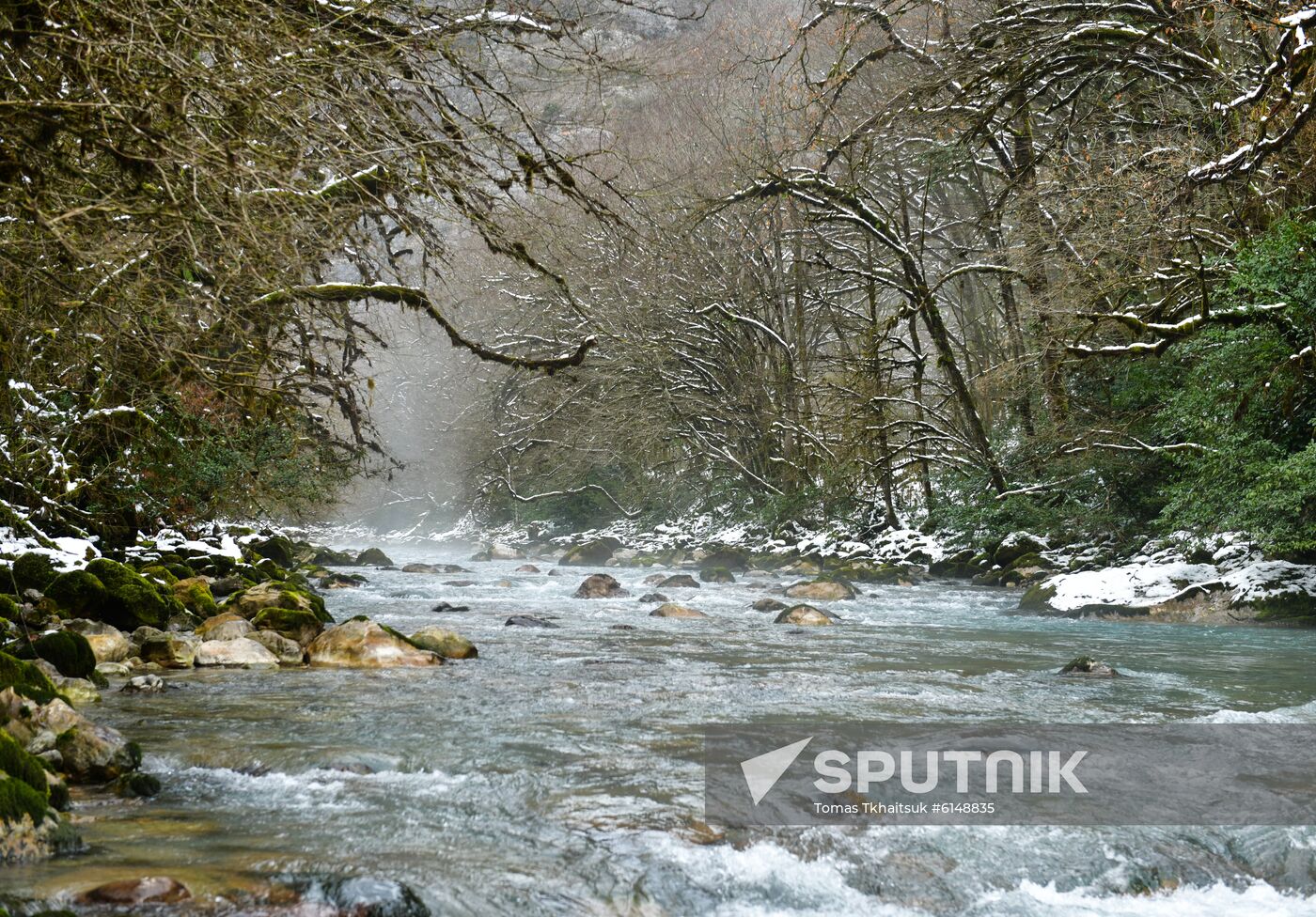 Abkhazia Ritsa Nature Park