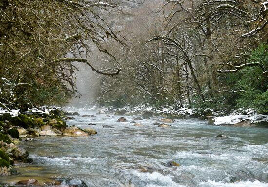 Abkhazia Ritsa Nature Park