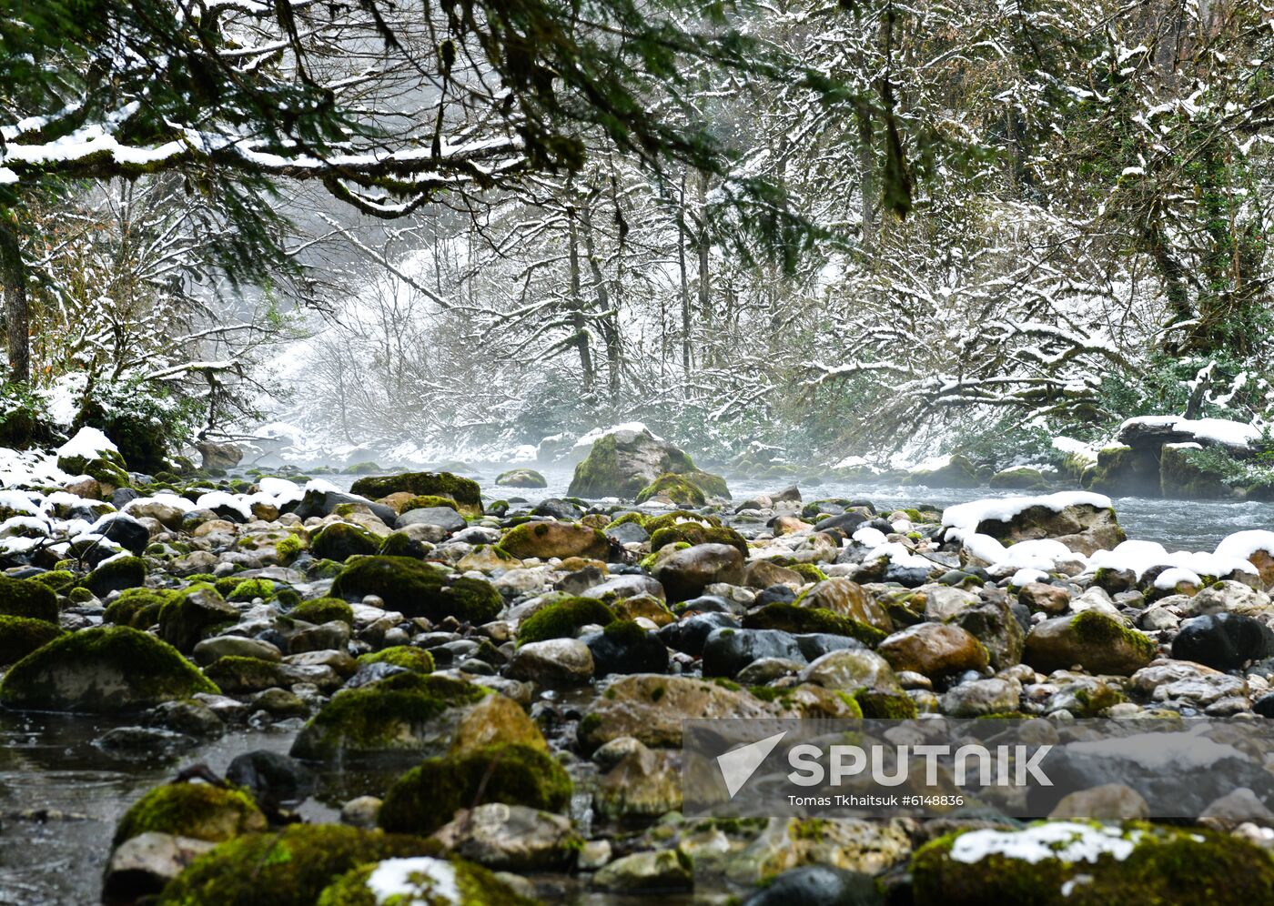 Abkhazia Ritsa Nature Park