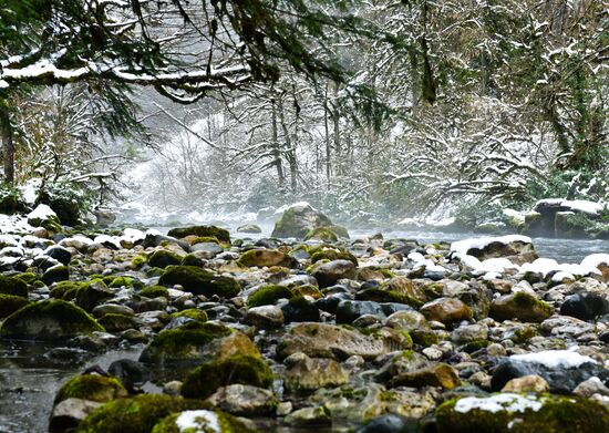 Abkhazia Ritsa Nature Park