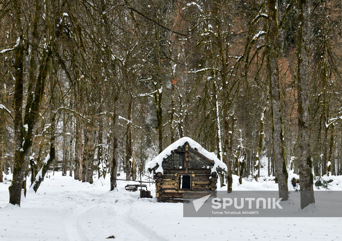 Abkhazia Ritsa Nature Park