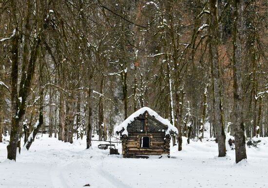 Abkhazia Ritsa Nature Park