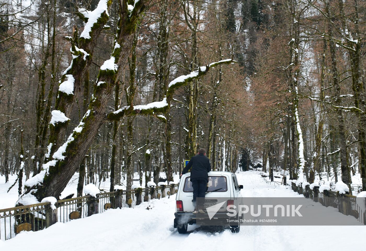 Abkhazia Ritsa Nature Park