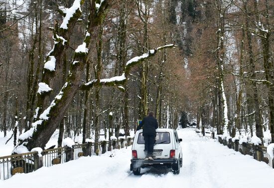 Abkhazia Ritsa Nature Park