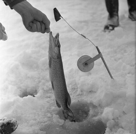 Winter fishing on Volga River