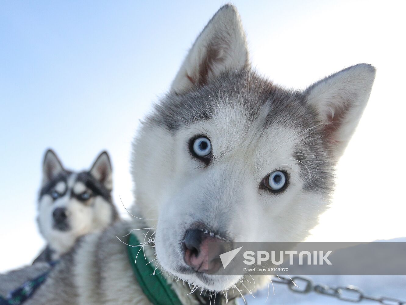 Russia China Tourism