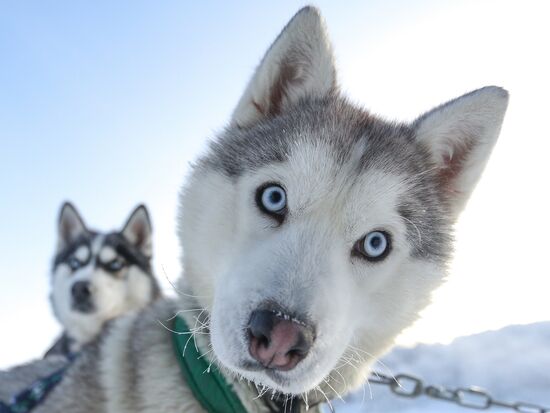 Russia China Tourism