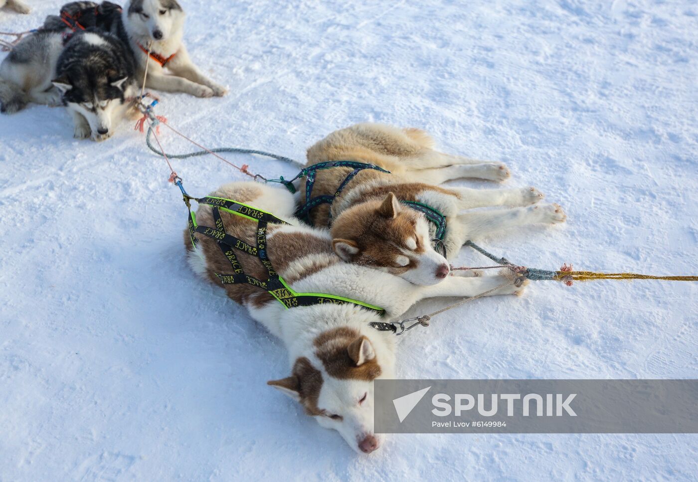 Russia China Tourism