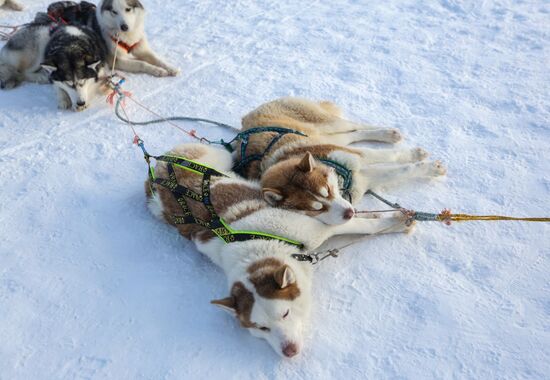 Russia China Tourism