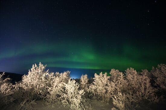 Russia Aurora Borealis