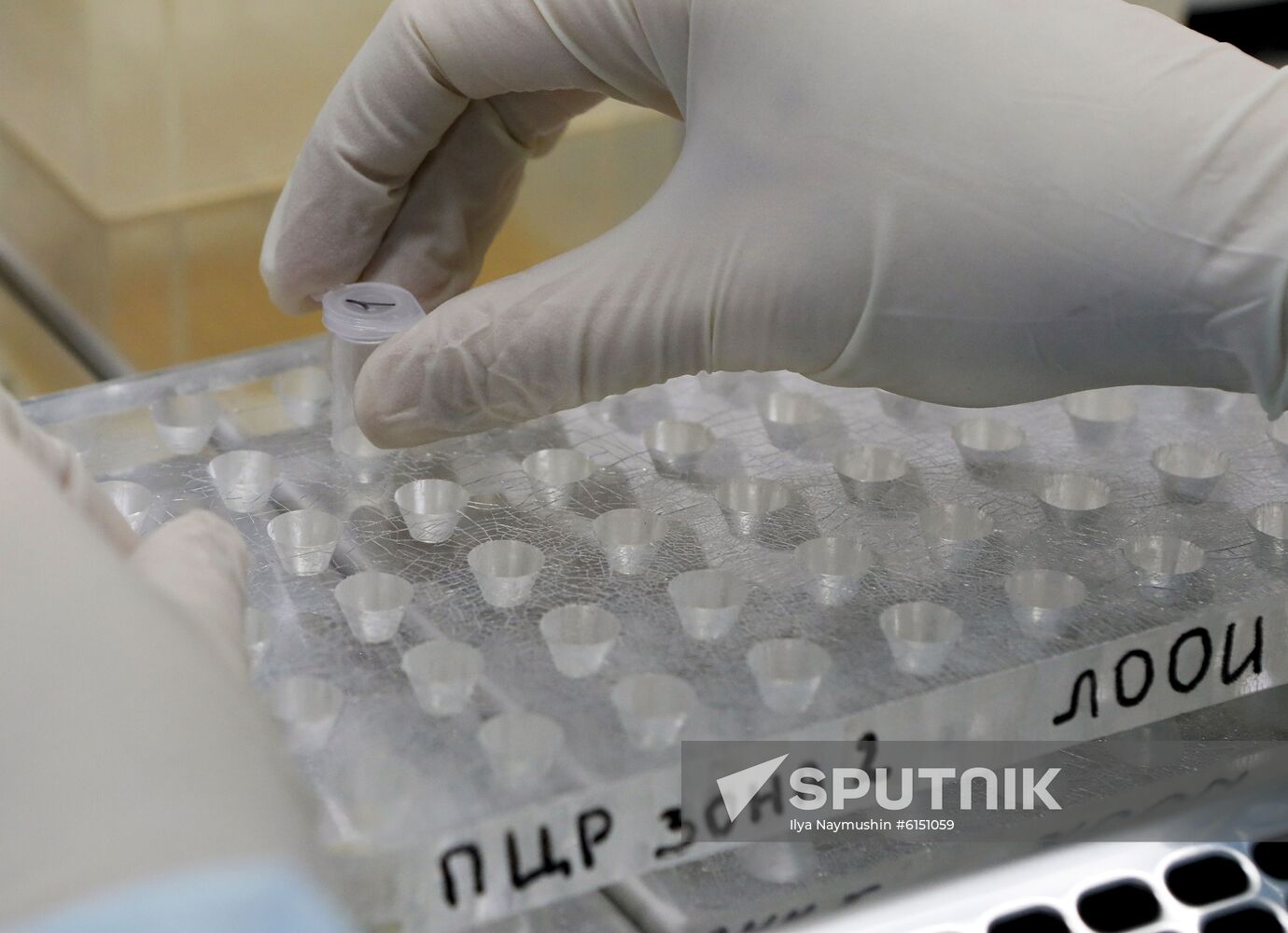 Russia New Coronavirus