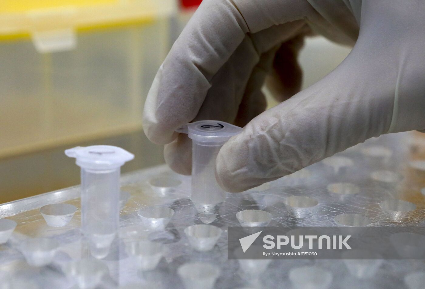 Russia New Coronavirus