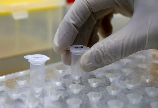 Russia New Coronavirus