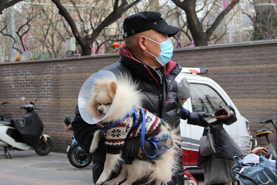 China New Coronavirus