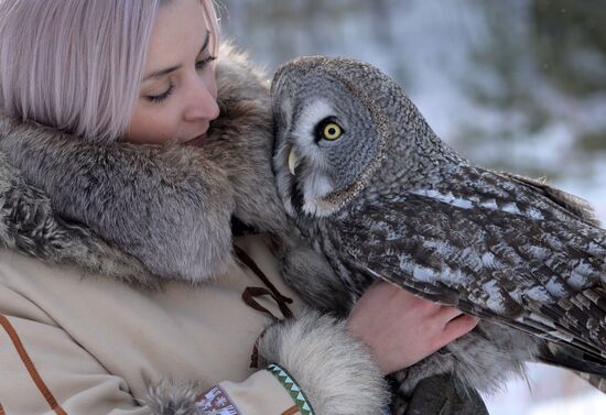 Russia Zoo Owls