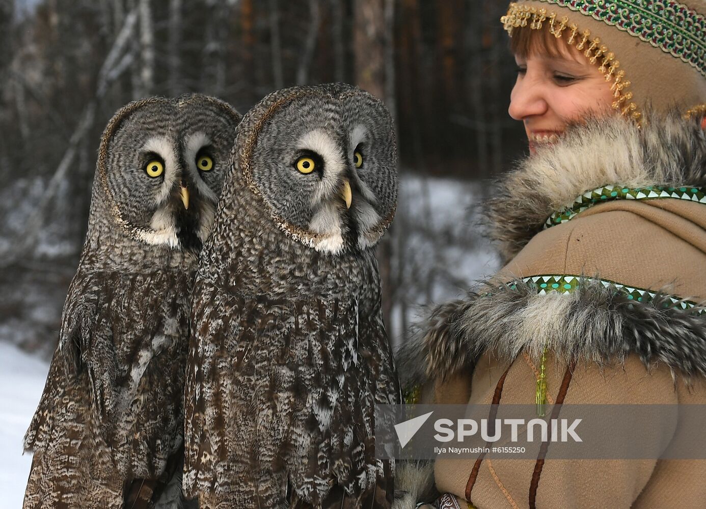 Russia Zoo Owls