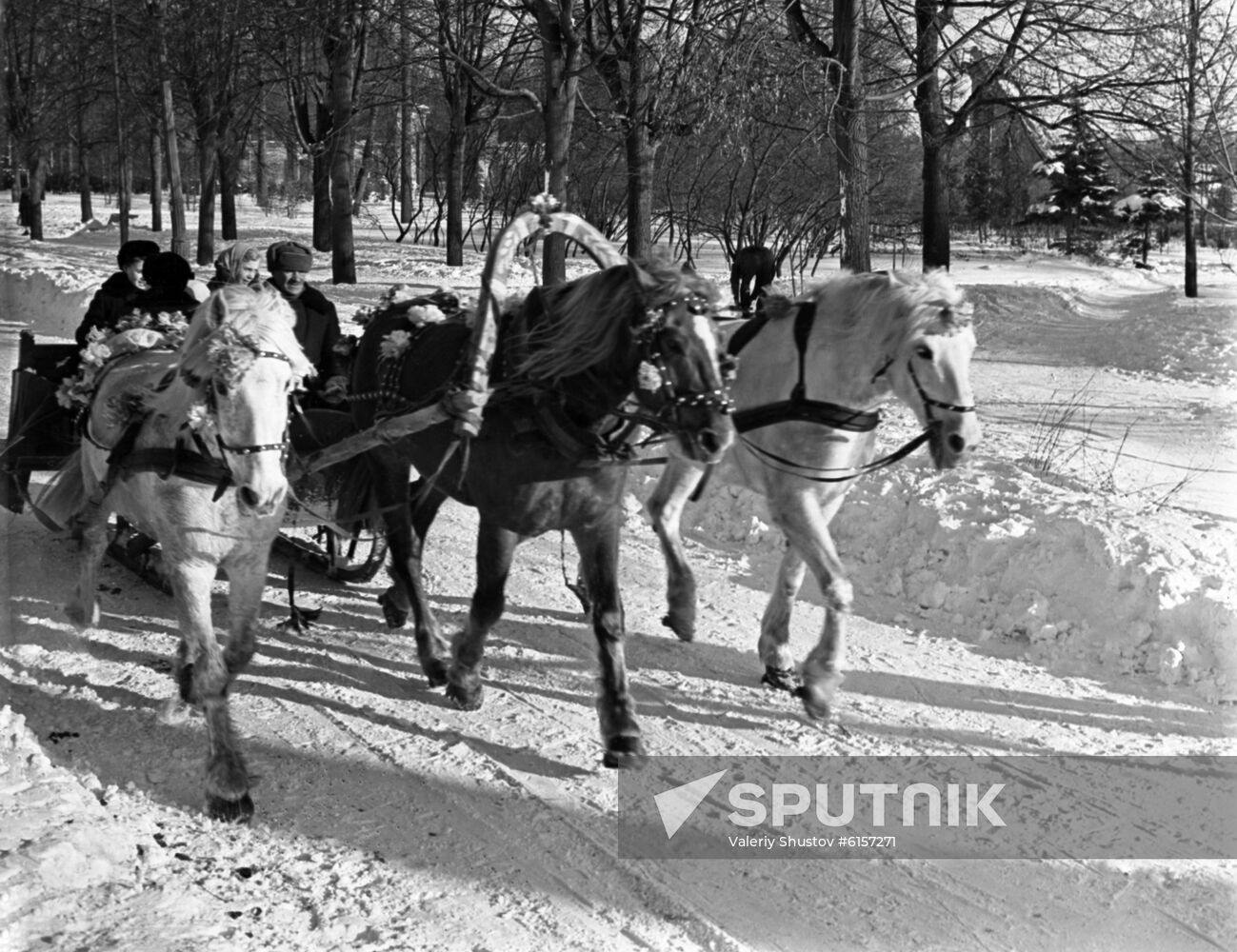 Riding Russian Troika in Sokolniki Park