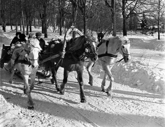 Riding Russian Troika in Sokolniki Park