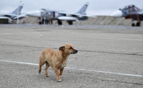 Russia Crimea Jets Exhibition
