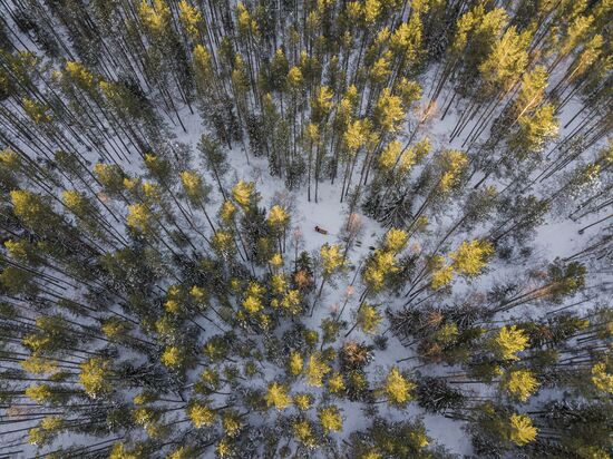 Russia Karelia