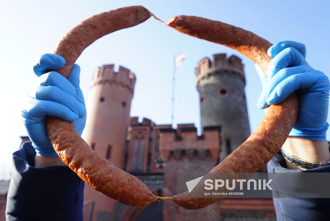 Russia Long Sausage Day