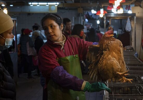 China New Coronavirus 