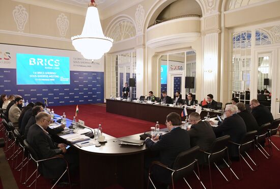 1st Meeting of BRICS Sherpas/Sous-Sherpas. Day one