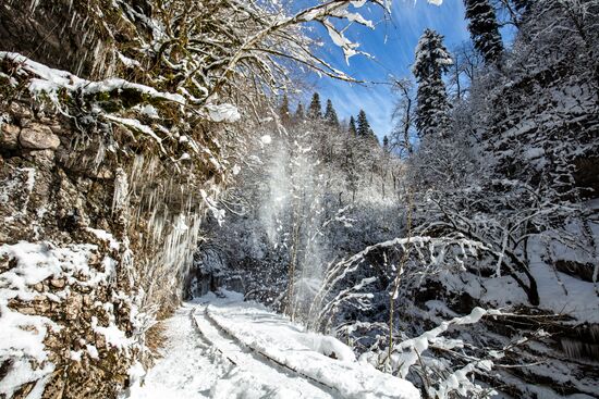 Russia Winter