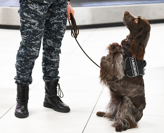 Russia Airports