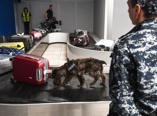 Russia Airports