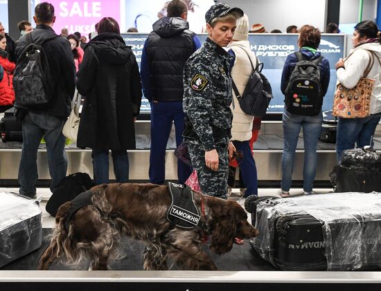 Russia Airports