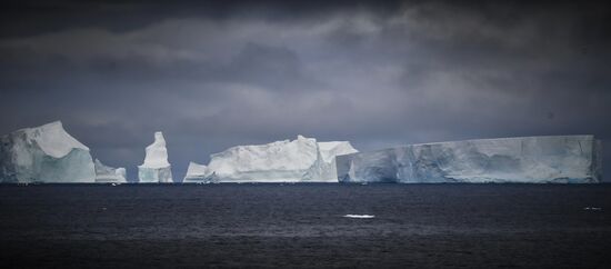 Antarctica Admiral Vladimirsky Expedition