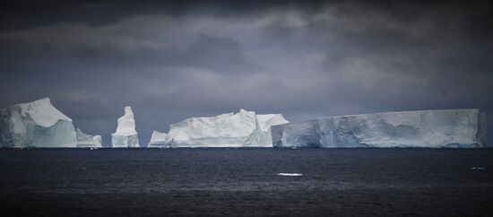 Antarctica Admiral Vladimirsky Expedition