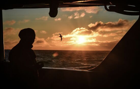 Antarctica Admiral Vladimirsky Expedition