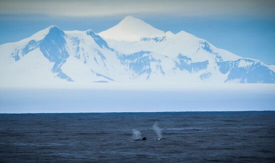 Antarctica Admiral Vladimirsky Expedition
