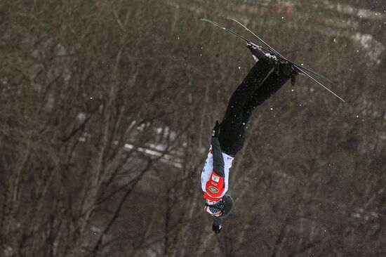 Russia Freestyle Ski World Cup