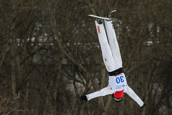 Russia Freestyle Ski World Cup