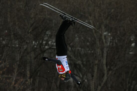 Russia Freestyle Ski World Cup