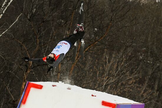 Russia Freestyle Ski World Cup