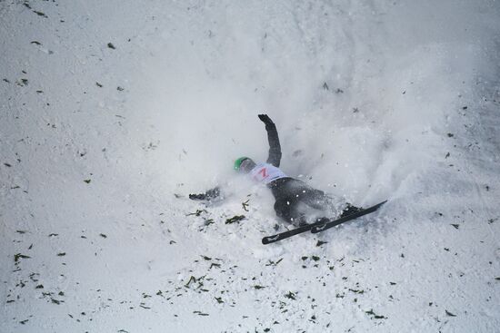 Russia Freestyle Ski World Cup