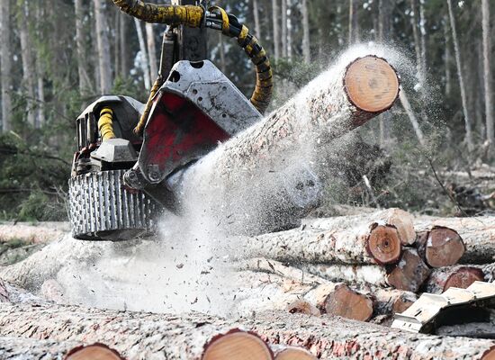 Russia Wood