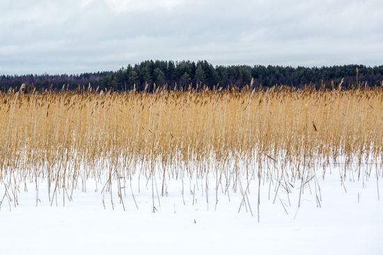 Russia Karelia