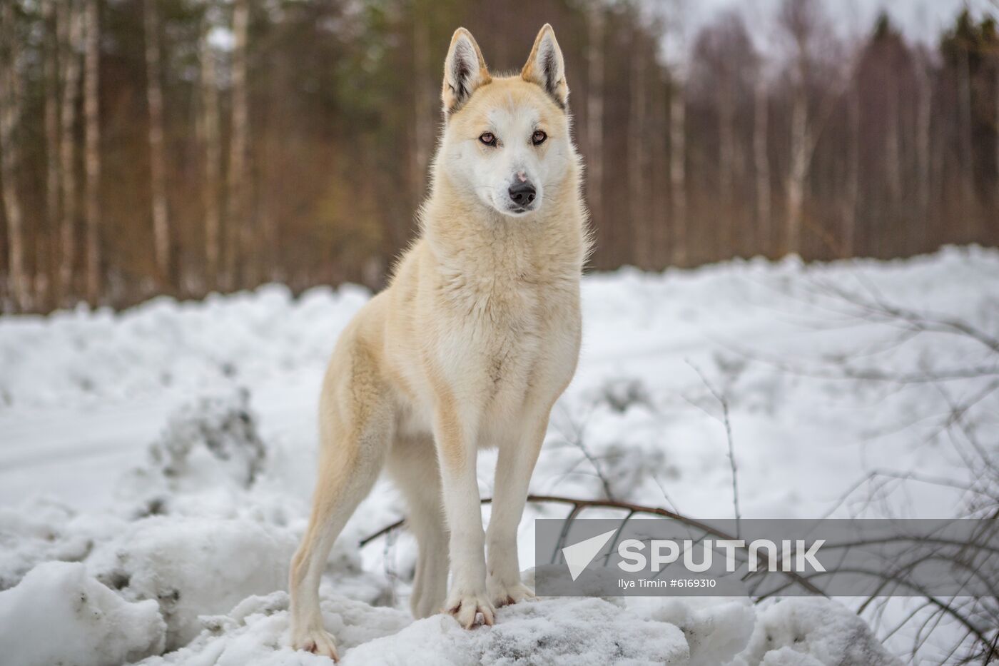 Russia Karelia