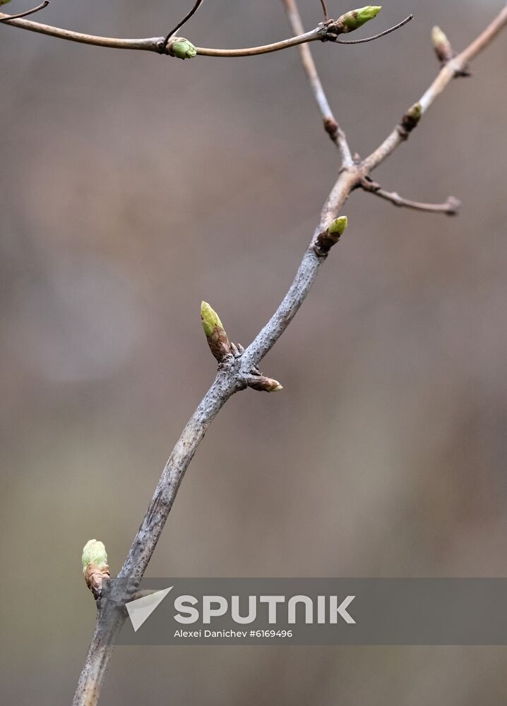 Russia Warm Weather