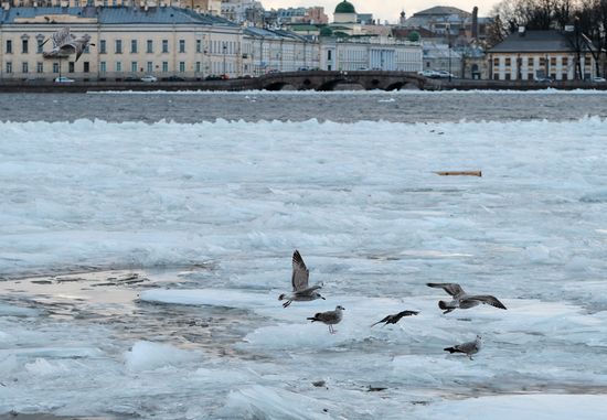 Russia Warm Weather