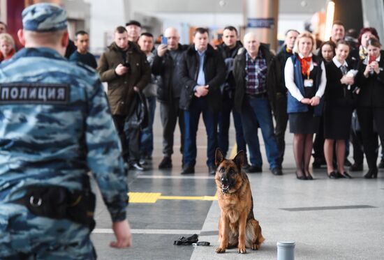 Russia Airports