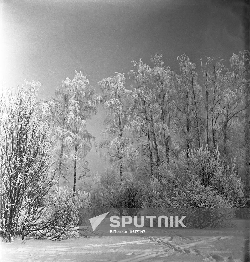 Winter in Moscow Region