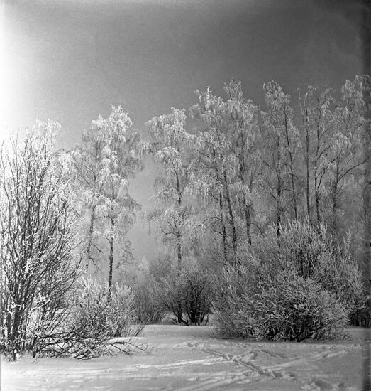 Winter in Moscow Region