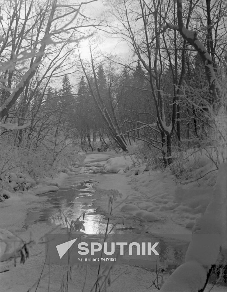 Spring in Moscow Region